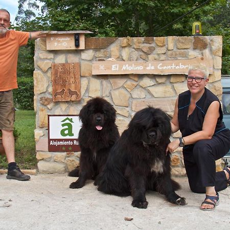 Posada Pet Friendly El Molino De Cantabria Entrambasaguas  Εξωτερικό φωτογραφία