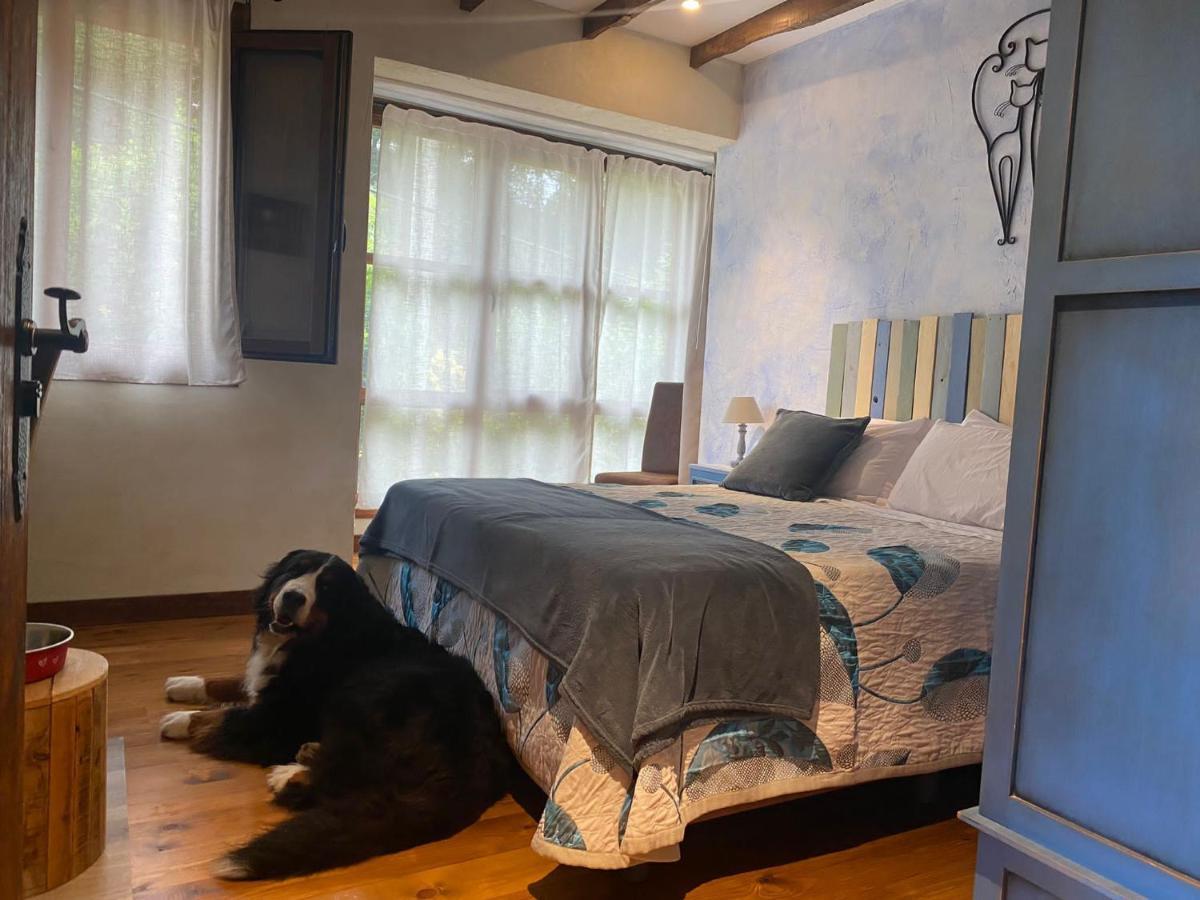 Posada Pet Friendly El Molino De Cantabria Entrambasaguas  Εξωτερικό φωτογραφία