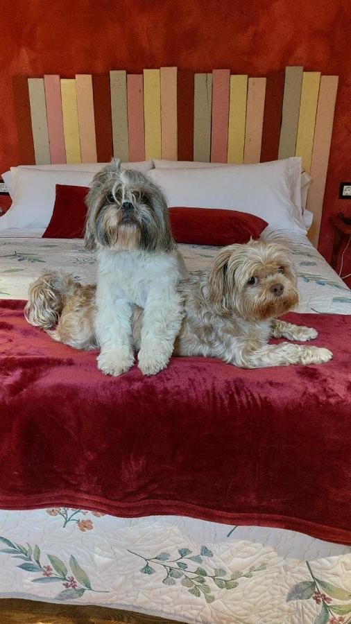 Posada Pet Friendly El Molino De Cantabria Entrambasaguas  Εξωτερικό φωτογραφία