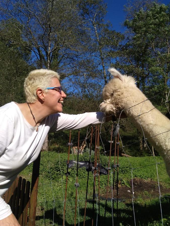Posada Pet Friendly El Molino De Cantabria Entrambasaguas  Εξωτερικό φωτογραφία