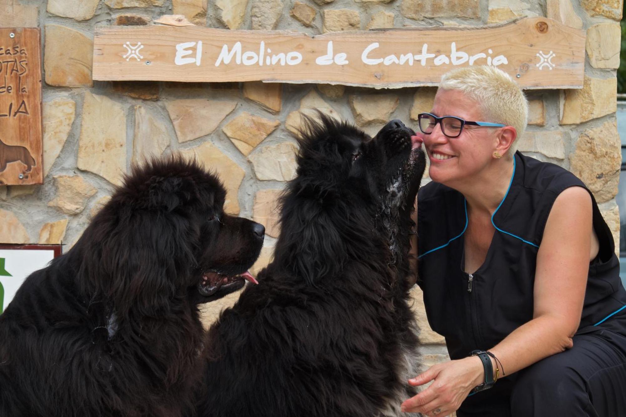 Posada Pet Friendly El Molino De Cantabria Entrambasaguas  Εξωτερικό φωτογραφία