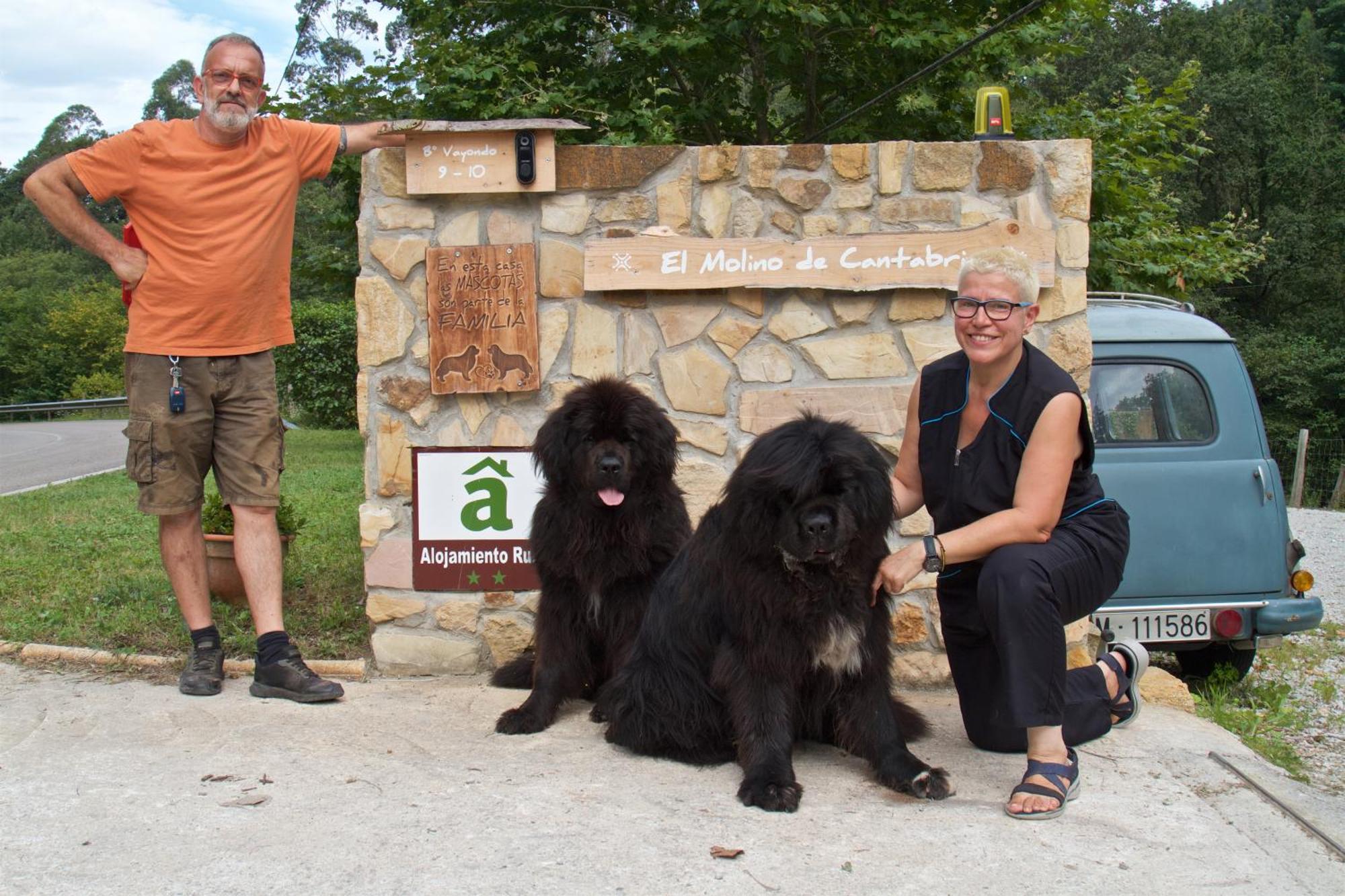 Posada Pet Friendly El Molino De Cantabria Entrambasaguas  Εξωτερικό φωτογραφία