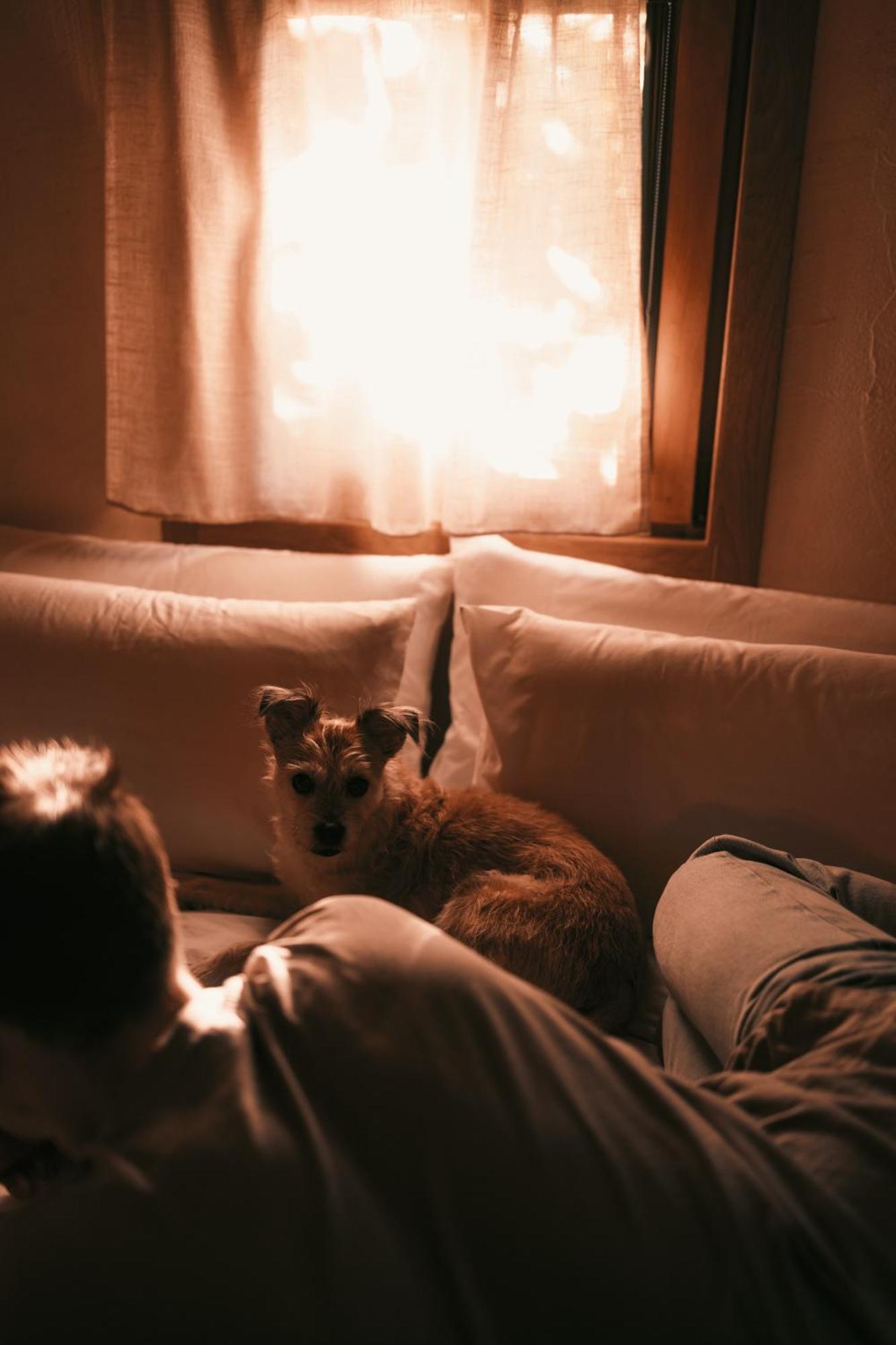 Posada Pet Friendly El Molino De Cantabria Entrambasaguas  Εξωτερικό φωτογραφία